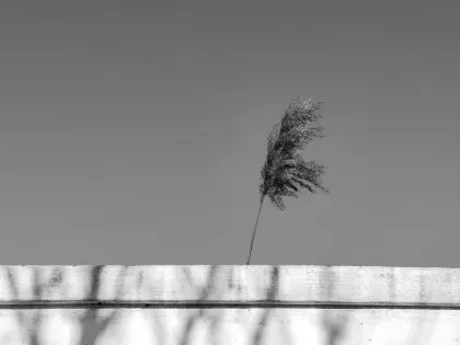 Jazz Casino Aip Soghluaiste